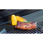 Barbacoa De Gas Con 2 Quemadores