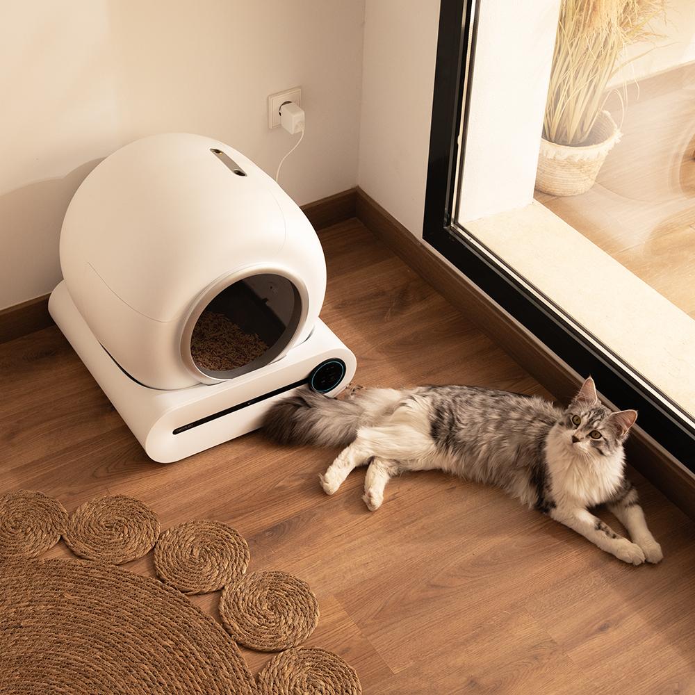 Pumba 8000 CleanKitty Smart