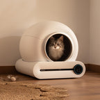 Pumba 8000 CleanKitty Smart