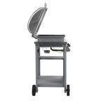 Barbacoa Portátil De Gas Con Mesita De 3 Estantes Plateado Vidaxl